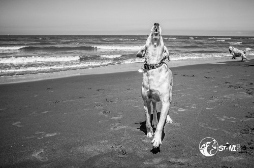 Juhu, endlich am Strand!