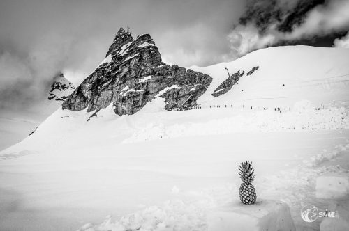 Ananas im Schnee