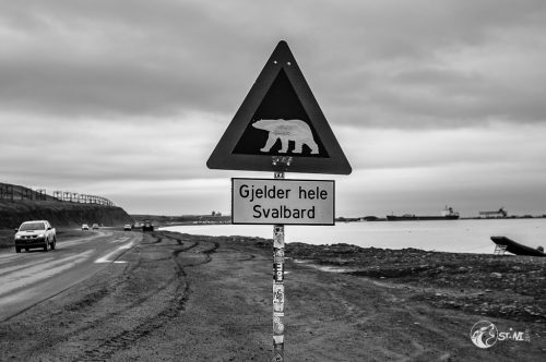 Warnung vor den Eisbären