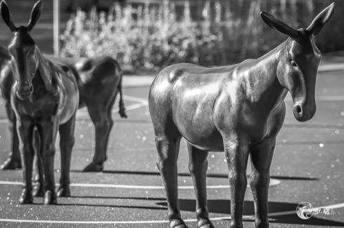 Esel vom  „Donkey's Way“ von Rita McBride für den Sonnenhausplatz in MG