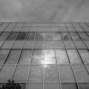 DSH Fassade